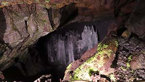 NbNĊg